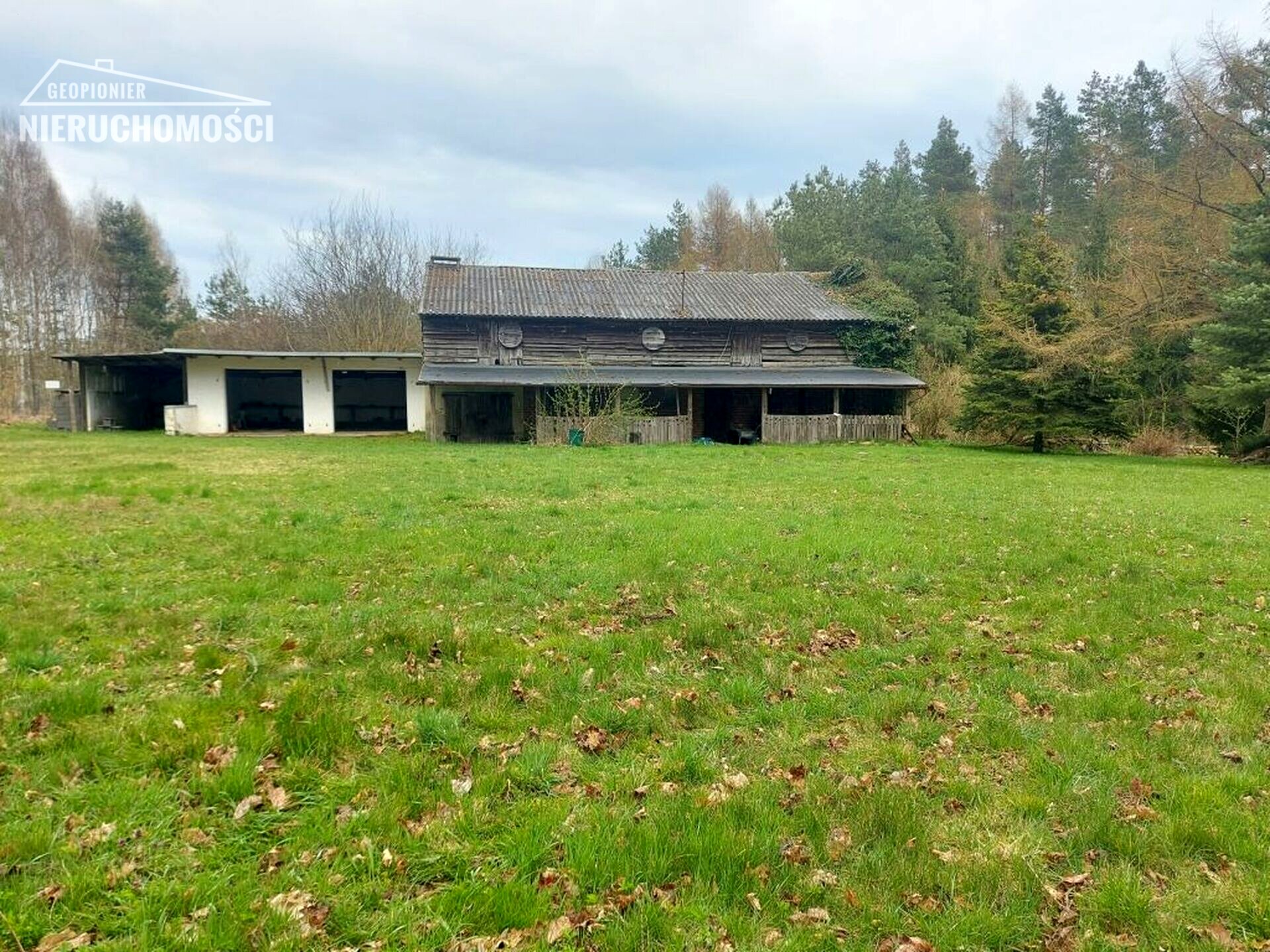 Dom - Siedlisko - Kalwa gm. Grunwald (powiat ostródzki), działka 6800m2 - zdjęcie 18