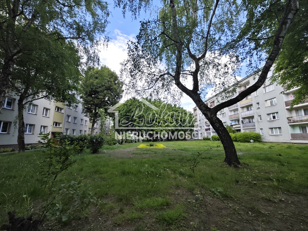 Mieszkanie 54,8&nbsp;m², Szczecin, Śródmieście, Odzieżowa - zdjęcie 15