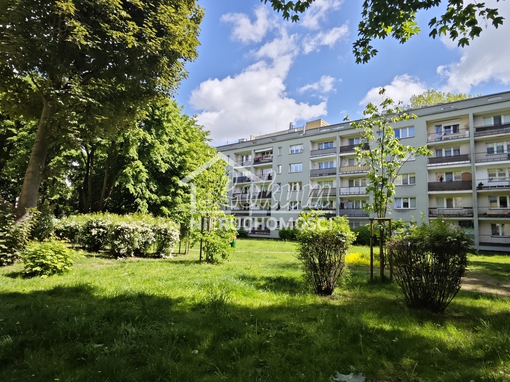 Mieszkanie 54,8&nbsp;m², Szczecin, Śródmieście, Odzieżowa - zdjęcie 16