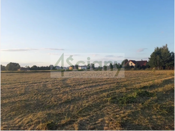 Działka budowlana 3927 m², Falenty Nowe - zdjęcie 2