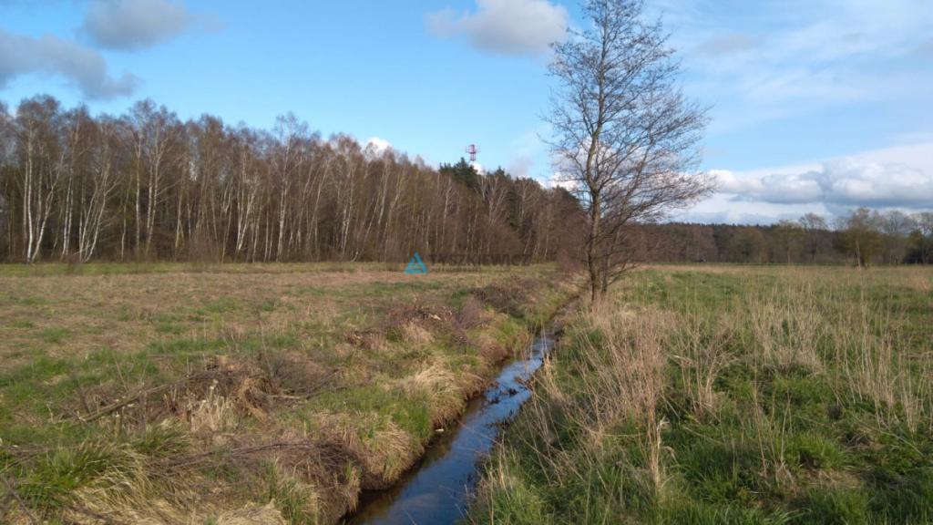 Działki z potencjałem pod zabudowę - Machowino - zdjęcie 6