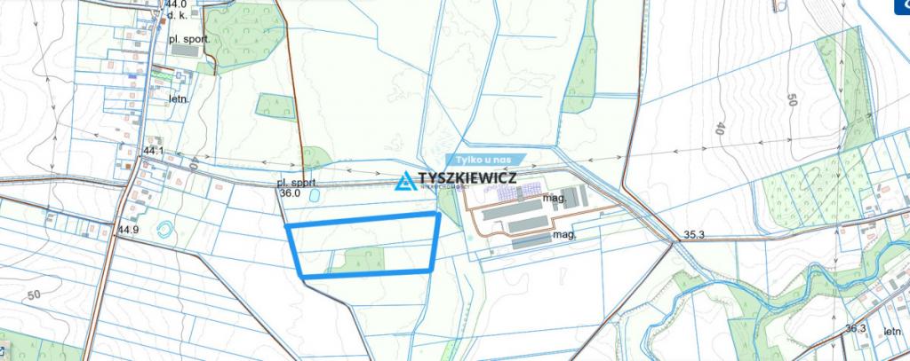 Nieruchomość gruntowa z lasem i własnym źródełkiem - zdjęcie 1