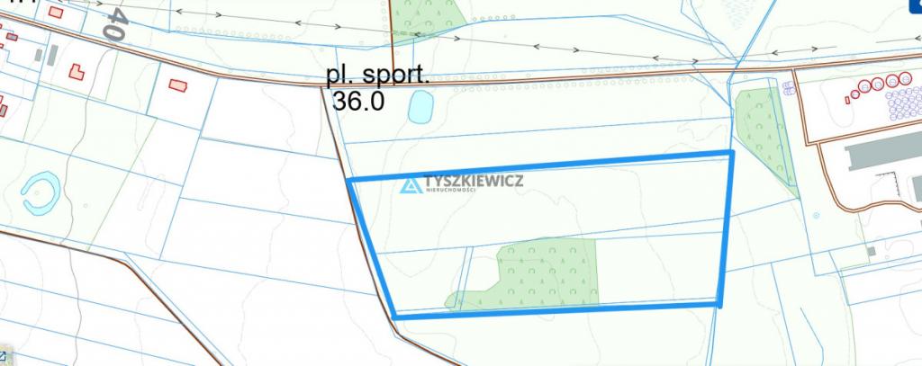 Nieruchomość gruntowa z lasem i własnym źródełkiem - zdjęcie 7