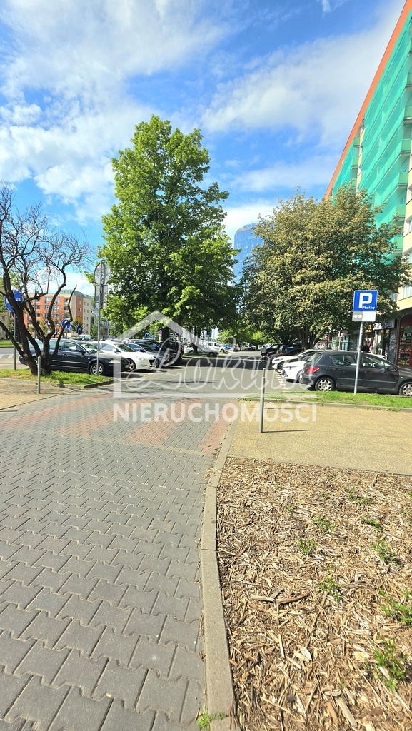 Mieszkanie 24,8 m², Szczecin, al. Wyzwolenia - zdjęcie 19