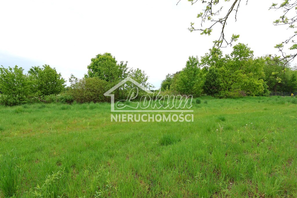 Działka budowlana 1091 m², Żółwia Błoć - zdjęcie 7