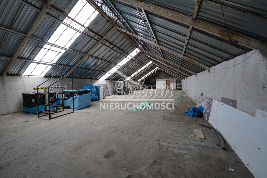 Magazyn do wynajęcia, 300&nbsp;m², Szczecin - zdjęcie 2