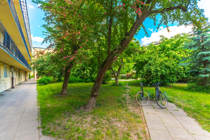 Mieszkanie 28 m², Warszawa, Mokotów, Kielecka - zdjęcie 12