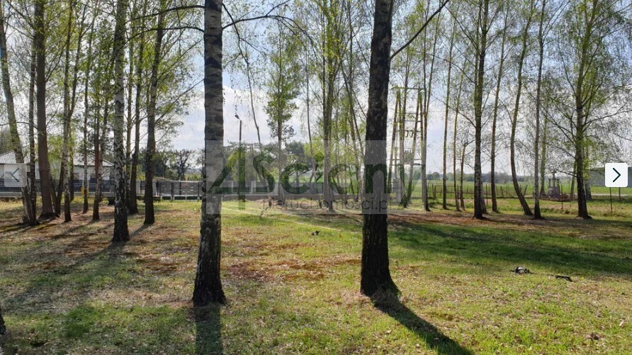 Działka budowlana 800 m², Wola Przypkowska - zdjęcie 4