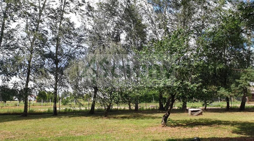 Działka budowlana 800 m², Wola Przypkowska - zdjęcie 3