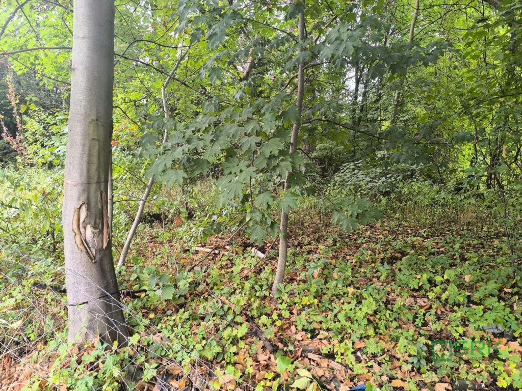 Działka inwestycyjna 5602&nbsp;m², Katowice, ks. Alojzego Ficka - zdjęcie 2