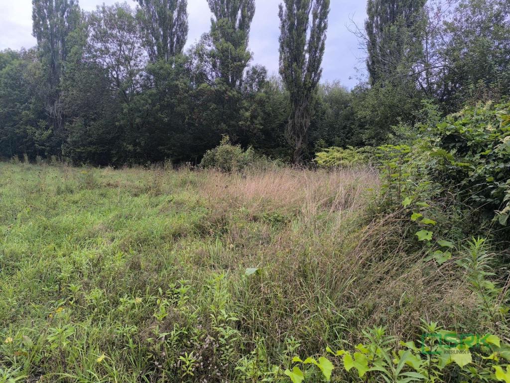 Działka inwestycyjna 5602&nbsp;m², Katowice, ks. Alojzego Ficka - zdjęcie 4