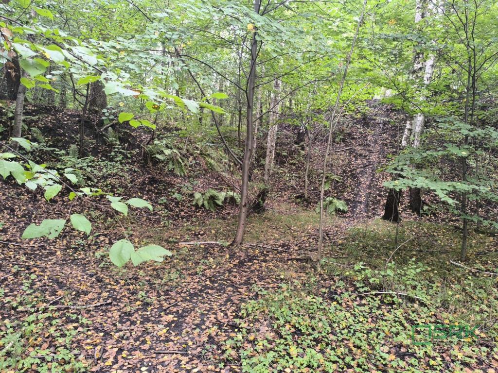 Działka inwestycyjna 6,77 ha, Katowice, Szopienicka - zdjęcie 3