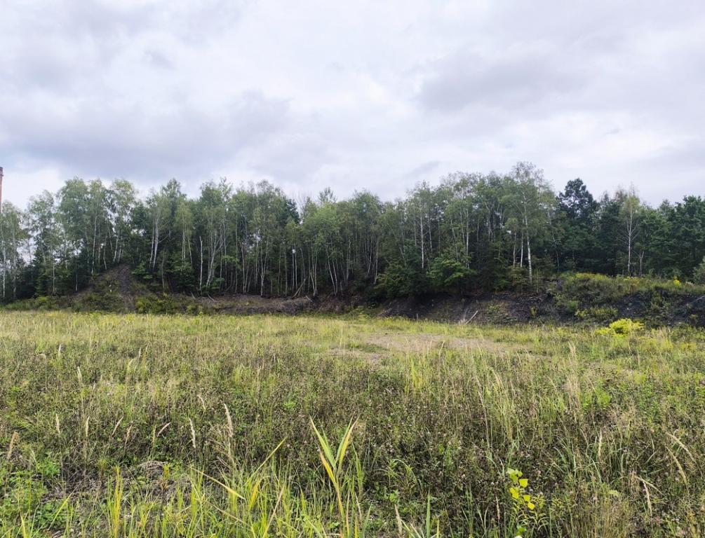 Działka inwestycyjna 6,77 ha, Katowice, Szopienicka - zdjęcie 12