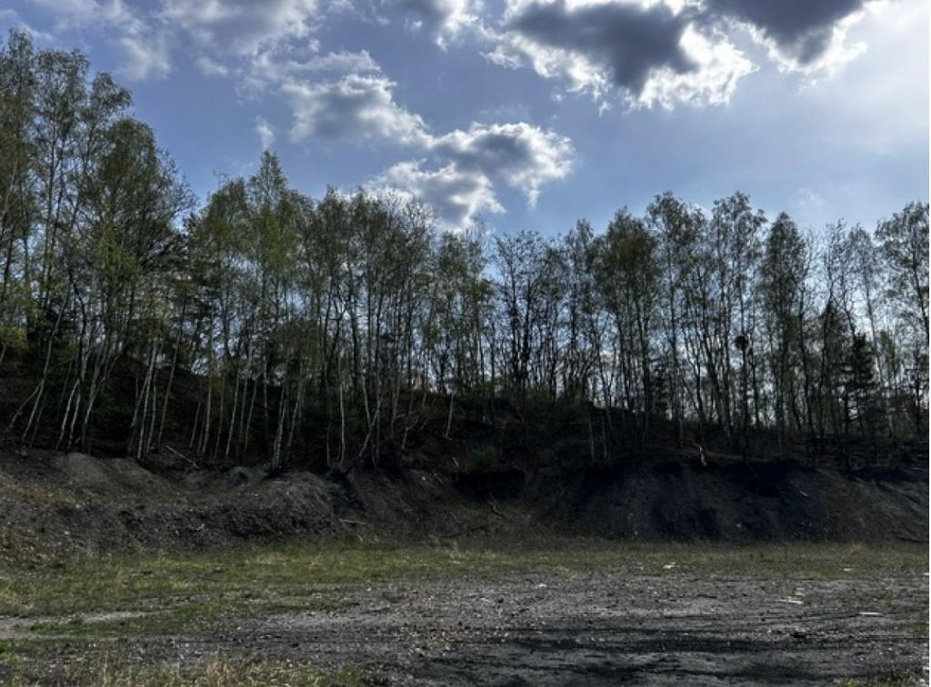 Działka inwestycyjna 6,77 ha, Katowice, Szopienicka - zdjęcie 10