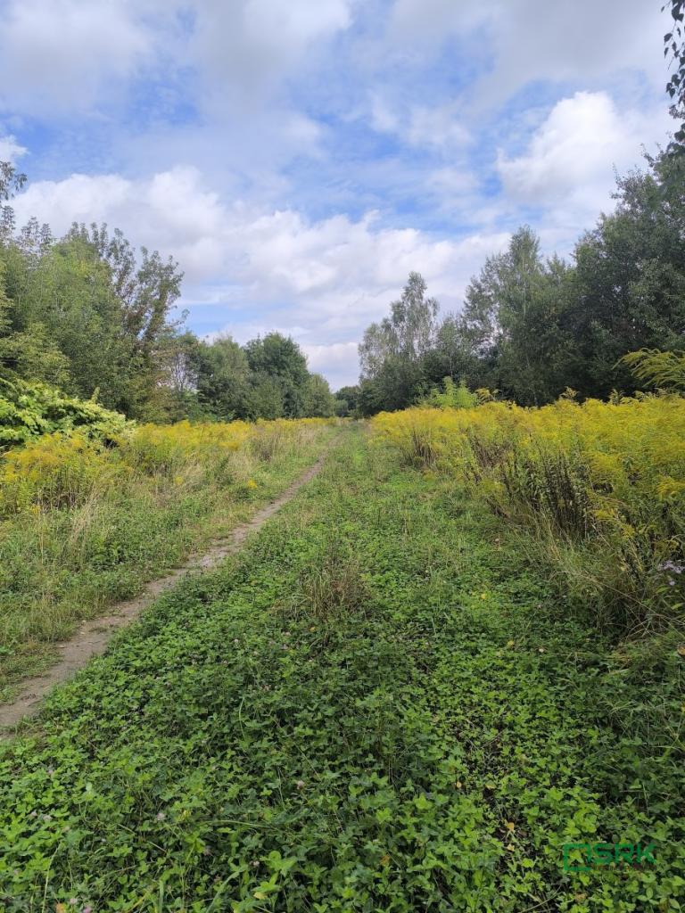 Działka inwestycyjna 2,55 ha, Katowice, Szopienicka - zdjęcie 2