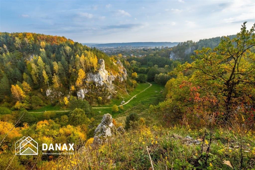Działka budowlana 5000&nbsp;m², Kobylany, Widokowa - zdjęcie 7