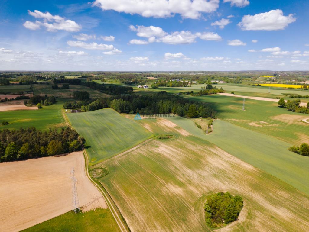 Działka budowlana 7,26 ha Lubieszyn - zdjęcie 13