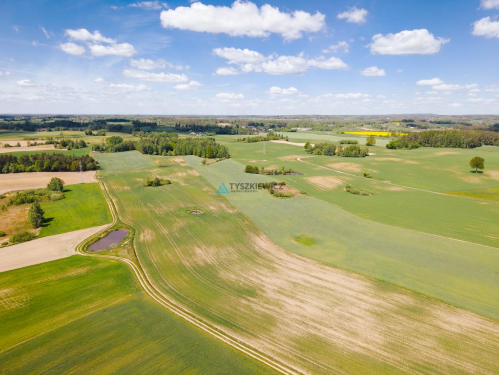 Działka budowlana 7,26 ha Lubieszyn - zdjęcie 11