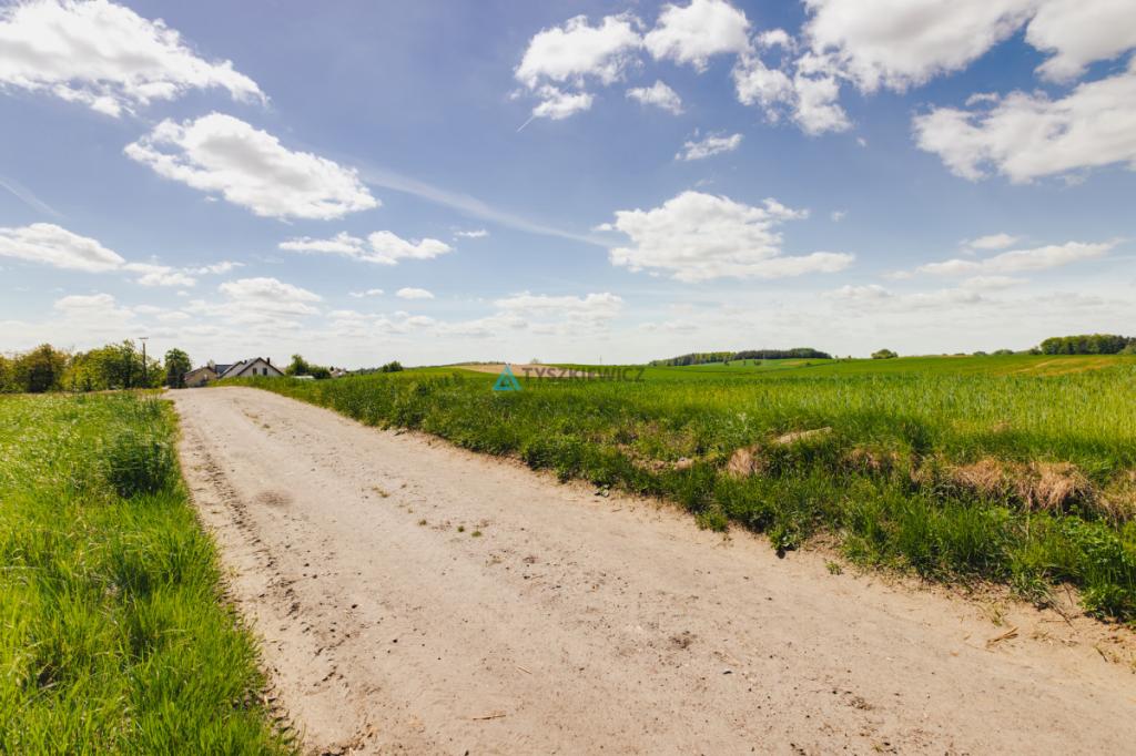 Działka budowlana 7,26 ha Lubieszyn - zdjęcie 6