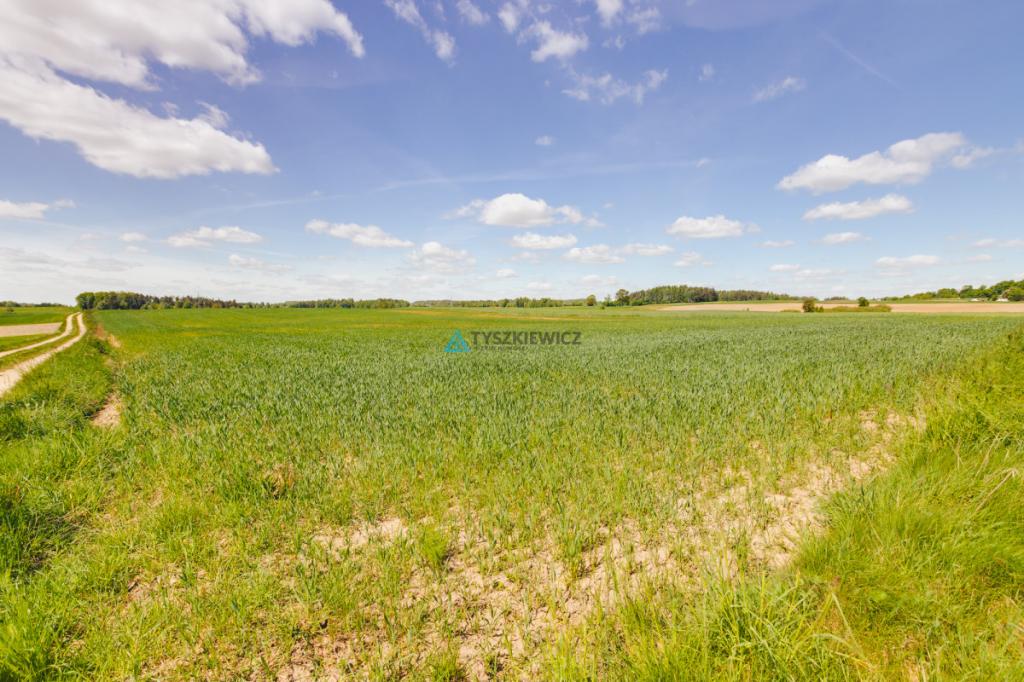 Działka budowlana 7,26 ha Lubieszyn - zdjęcie 7