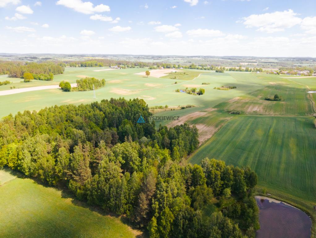 Działka budowlana 7,26 ha Lubieszyn - zdjęcie 15