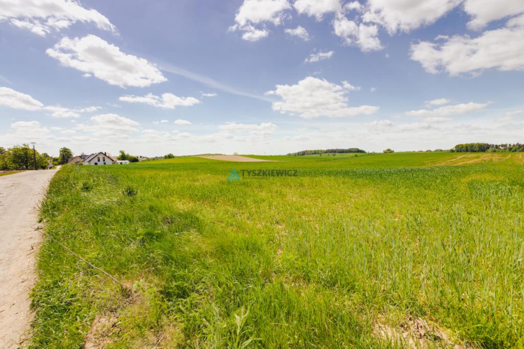 Działka budowlana 7,26 ha Lubieszyn - zdjęcie 5