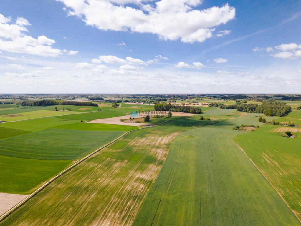 Działka budowlana 7,26 ha Lubieszyn - zdjęcie 10
