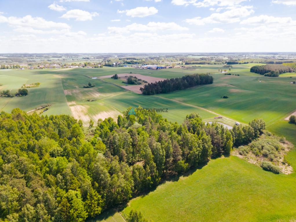 Działka budowlana 7,26 ha Lubieszyn - zdjęcie 16