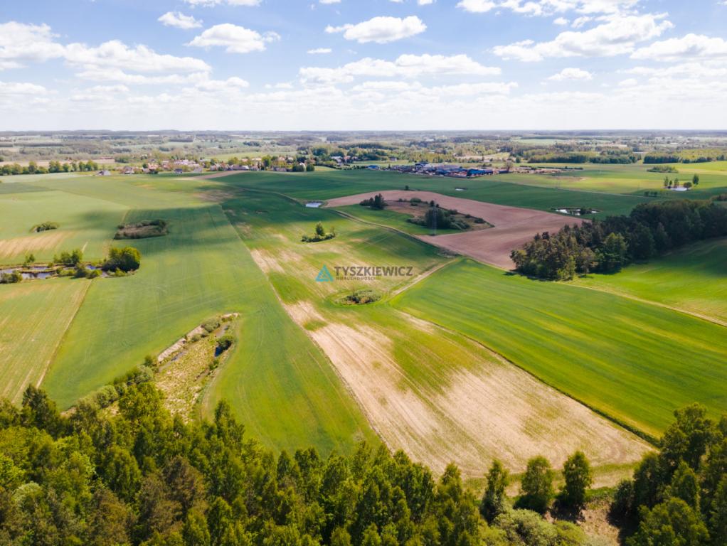 Działka budowlana 7,26 ha Lubieszyn - zdjęcie 17