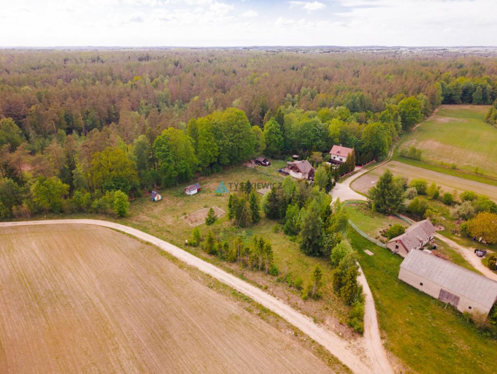 Gowidlino - urokliwa działka budowlana przy lesie - zdjęcie 10