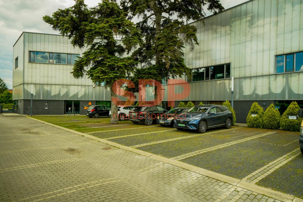 Lokal usługowy do wynajęcia, 196 m², Wrocław, Psie Pole, Żmigrodzka - zdjęcie 10