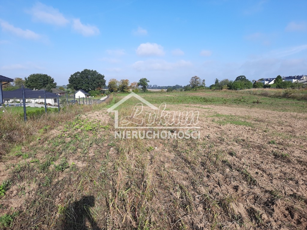 Działka budowlana 2,80 ha, Kurów, Na Klifie - zdjęcie 8