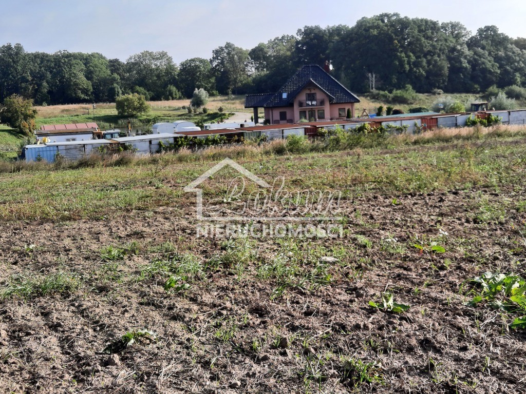 Działka budowlana 2,80 ha, Kurów, Na Klifie - zdjęcie 10
