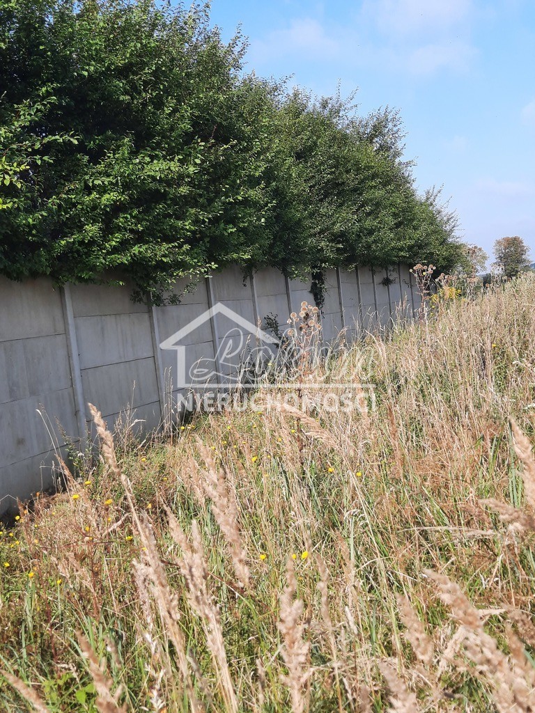 Działka budowlana 2,80 ha, Kurów, Na Klifie - zdjęcie 15