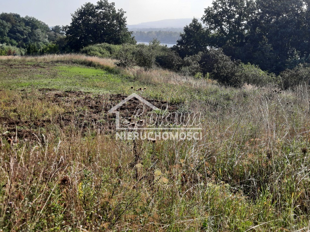 Działka budowlana 2,80 ha, Kurów, Na Klifie - zdjęcie 17