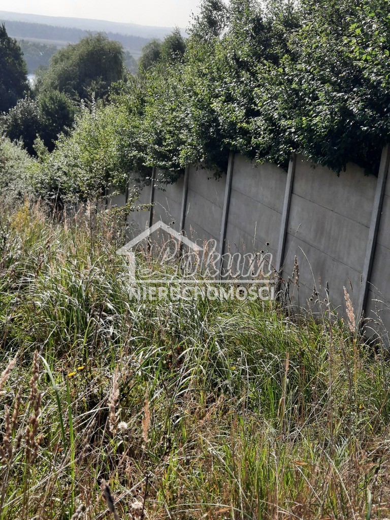 Działka budowlana 2,80 ha, Kurów, Na Klifie - zdjęcie 14