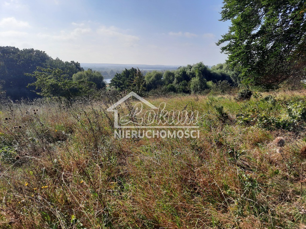 Działka budowlana 2,80 ha, Kurów, Na Klifie - zdjęcie 16