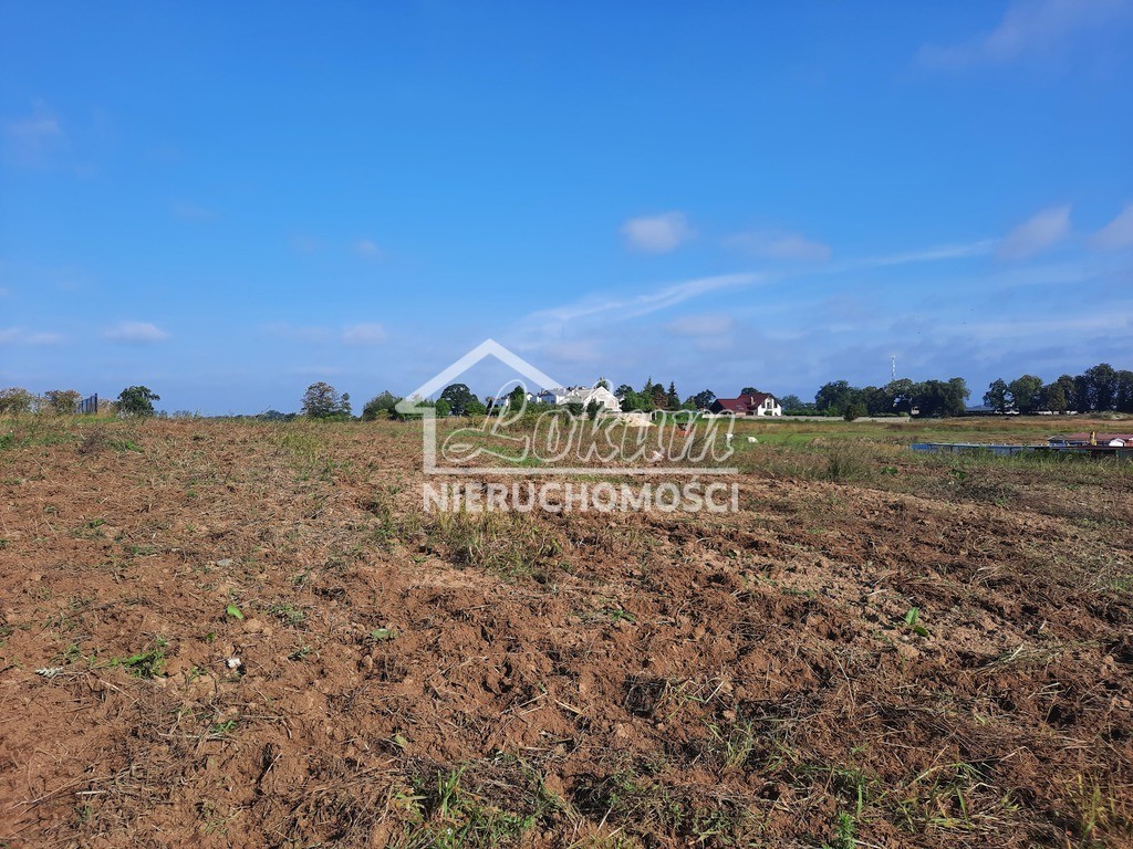 Działka budowlana 2,80 ha, Kurów, Na Klifie - zdjęcie 19
