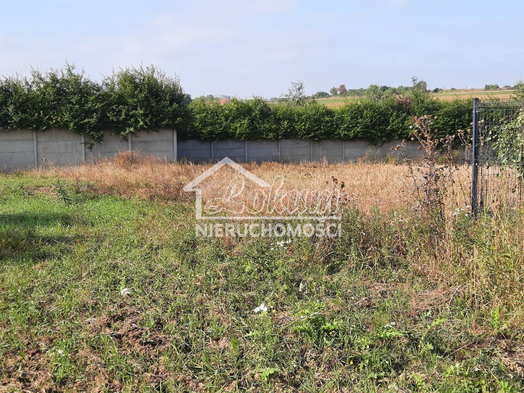 Działka budowlana 2,80 ha, Kurów, Na Klifie - zdjęcie 12