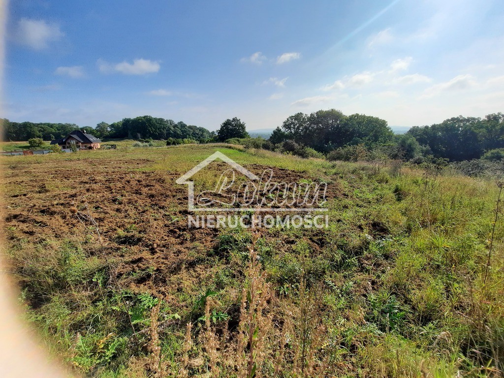 Działka budowlana 2,80 ha, Kurów, Na Klifie - zdjęcie 18