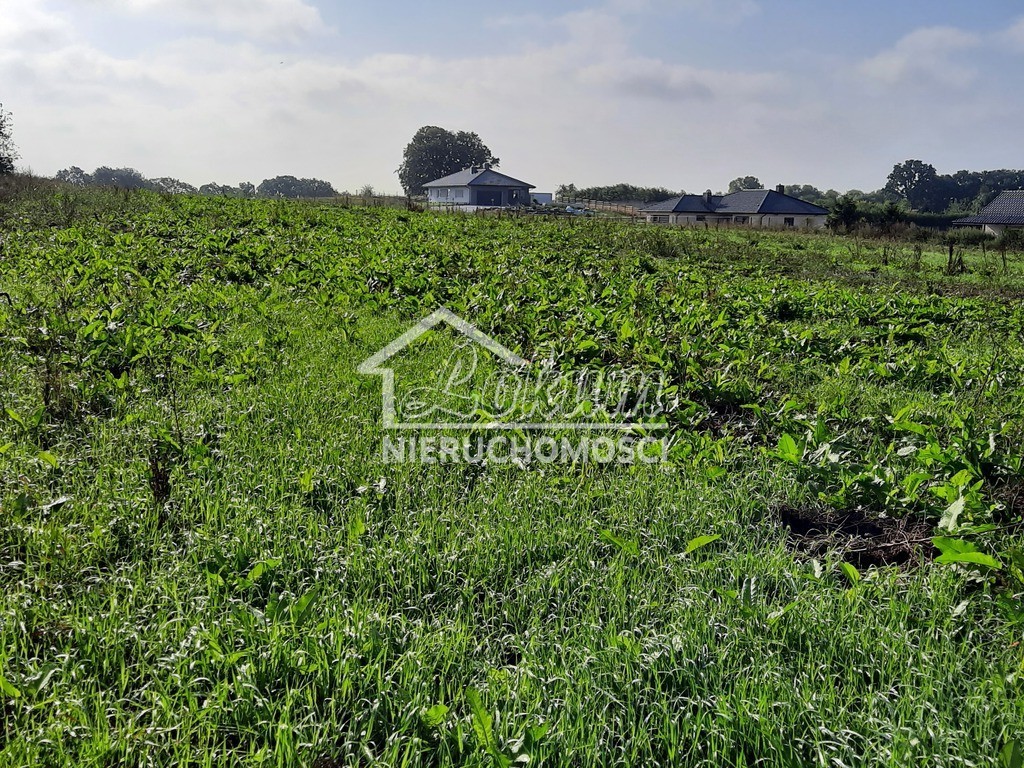 Działka budowlana 2,80 ha, Kurów, Na Klifie - zdjęcie 6