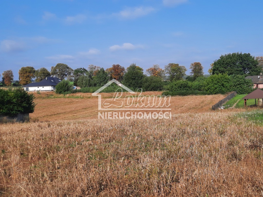 Działka budowlana 2,80 ha, Kurów, Na Klifie - zdjęcie 13