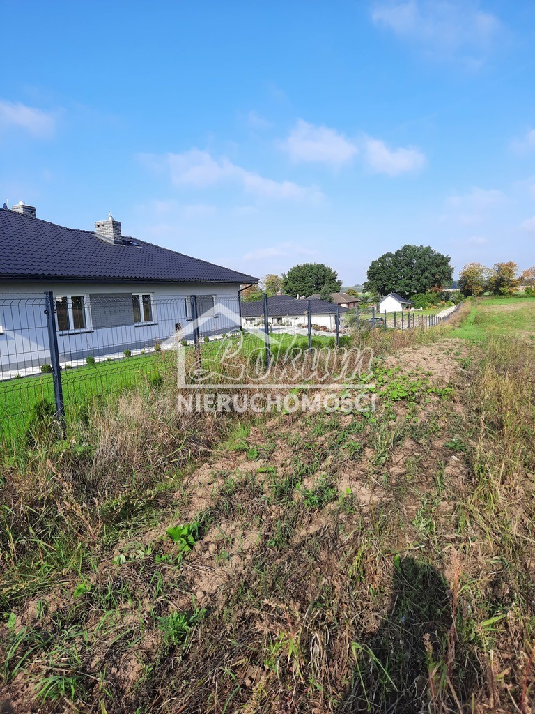 Działka budowlana 2,80 ha, Kurów, Na Klifie - zdjęcie 7