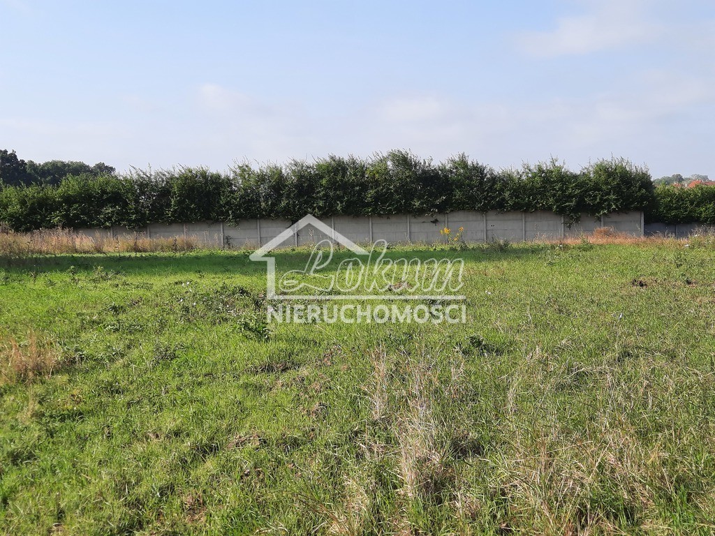 Działka budowlana 2,80 ha, Kurów, Na Klifie - zdjęcie 11