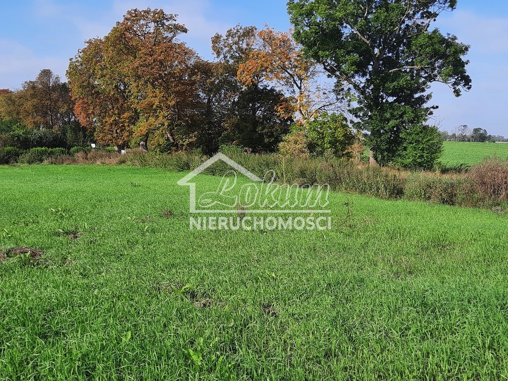 Działka budowlana 2,80 ha, Kurów, Na Klifie - zdjęcie 5