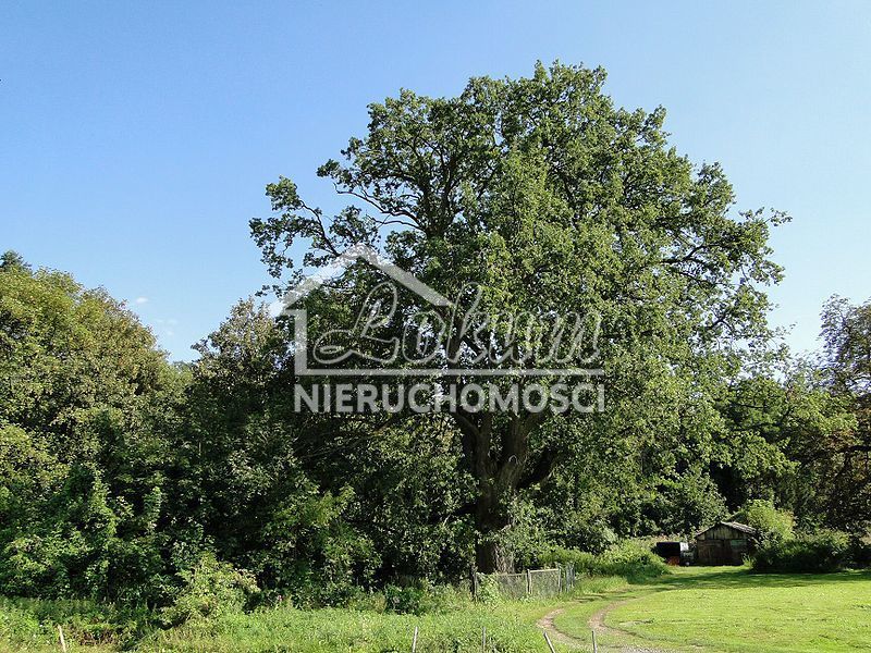Działka budowlana 2,80 ha, Kurów, Na Klifie - zdjęcie 1