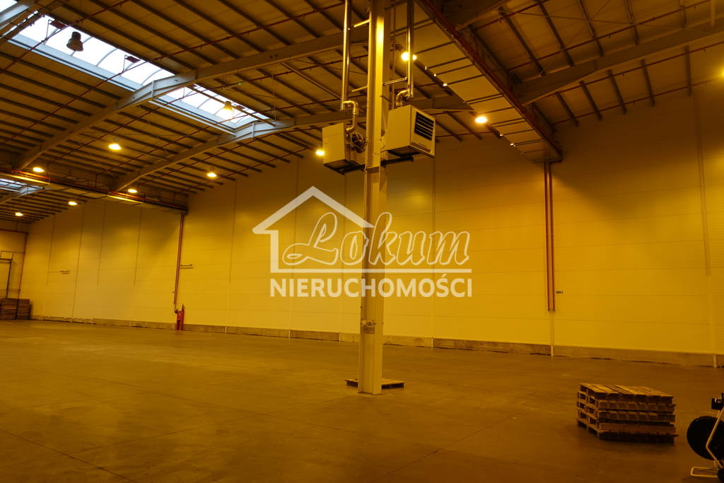 Magazyn do wynajęcia, 2278&nbsp;m², Kołbaskowo - zdjęcie 2