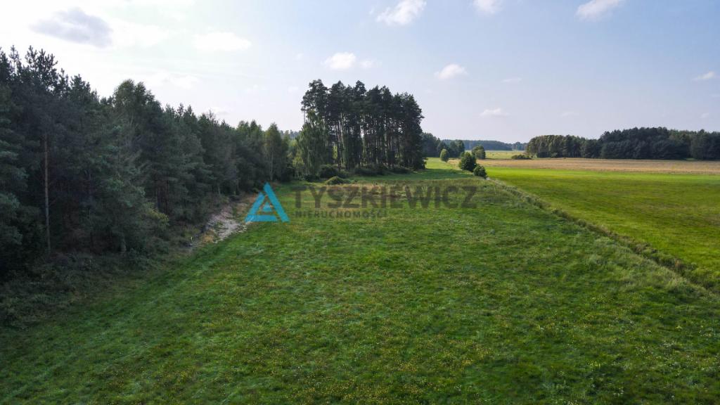 Działka OSÓWEK - zdjęcie 10