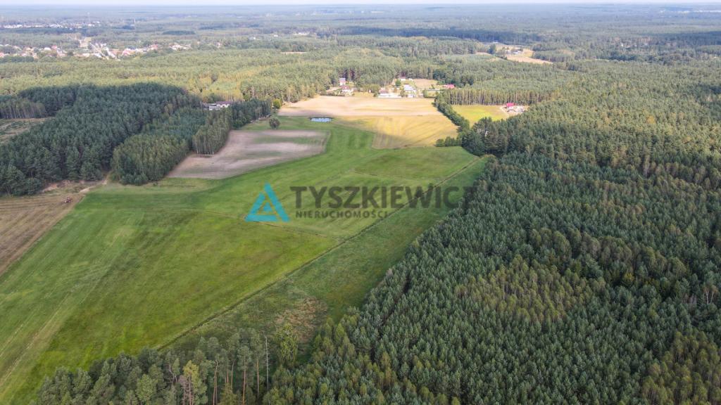 Działka OSÓWEK - zdjęcie 16