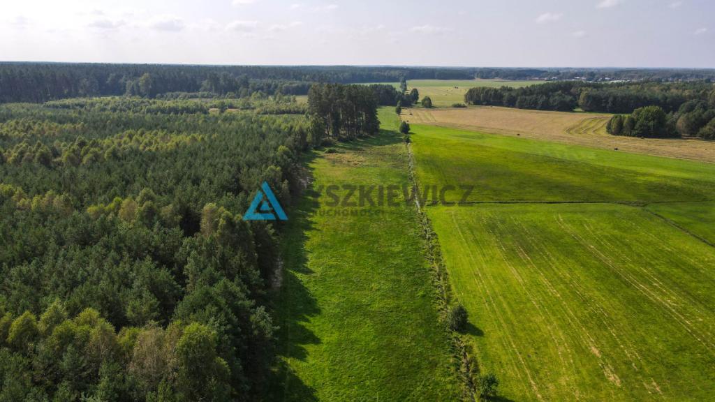 Działka OSÓWEK - zdjęcie 21